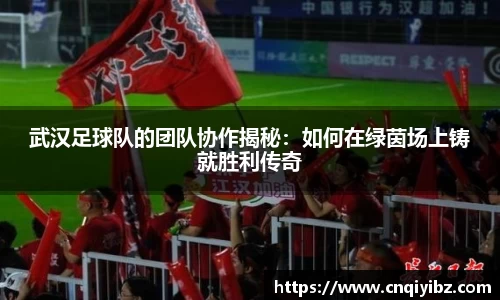武汉足球队的团队协作揭秘：如何在绿茵场上铸就胜利传奇