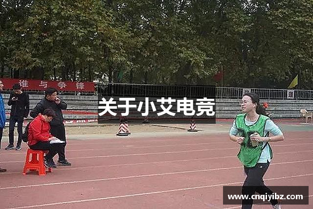 关于小艾电竞